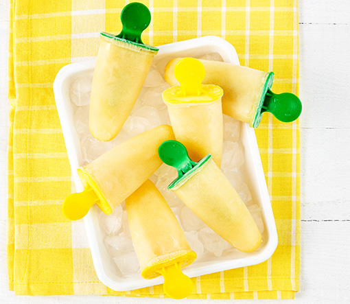 Rafferty's Garden Apple and Pear Popsicles