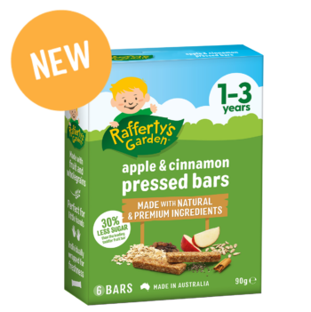 Apple & Cinnamon pressed snack bar